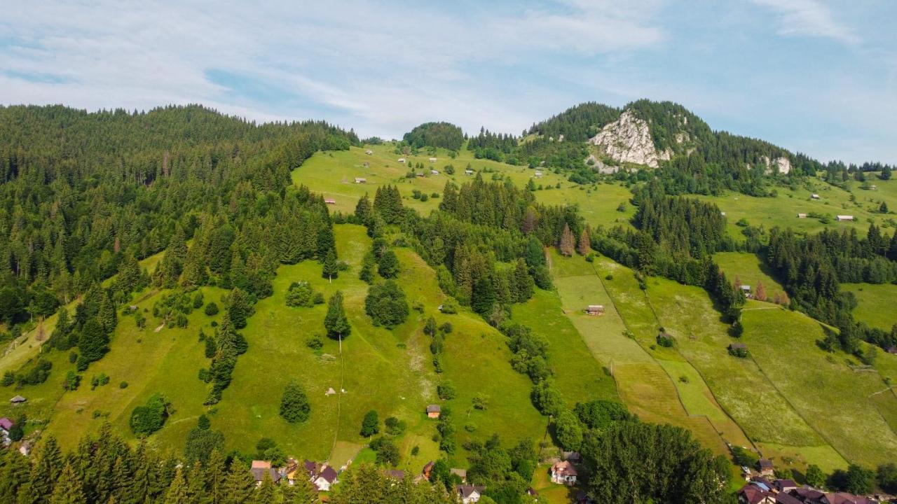 Pensiunea Malina Moeciu De Sus Extérieur photo