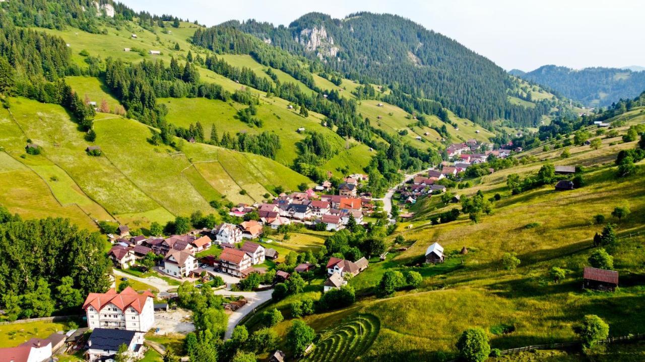 Pensiunea Malina Moeciu De Sus Extérieur photo